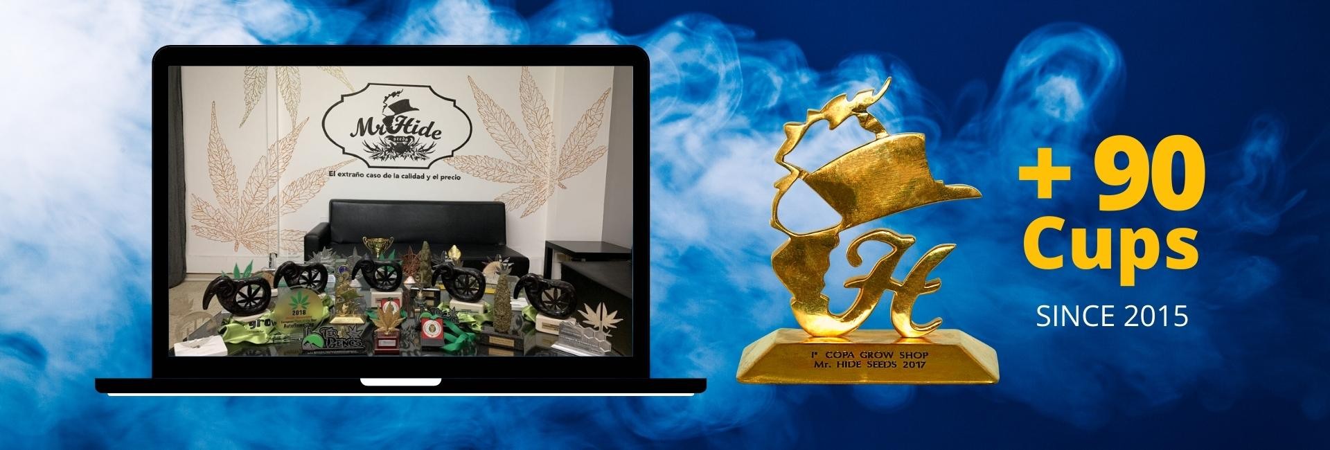 Semillas de cannabis ganadoras de Mr. Hide Seeds