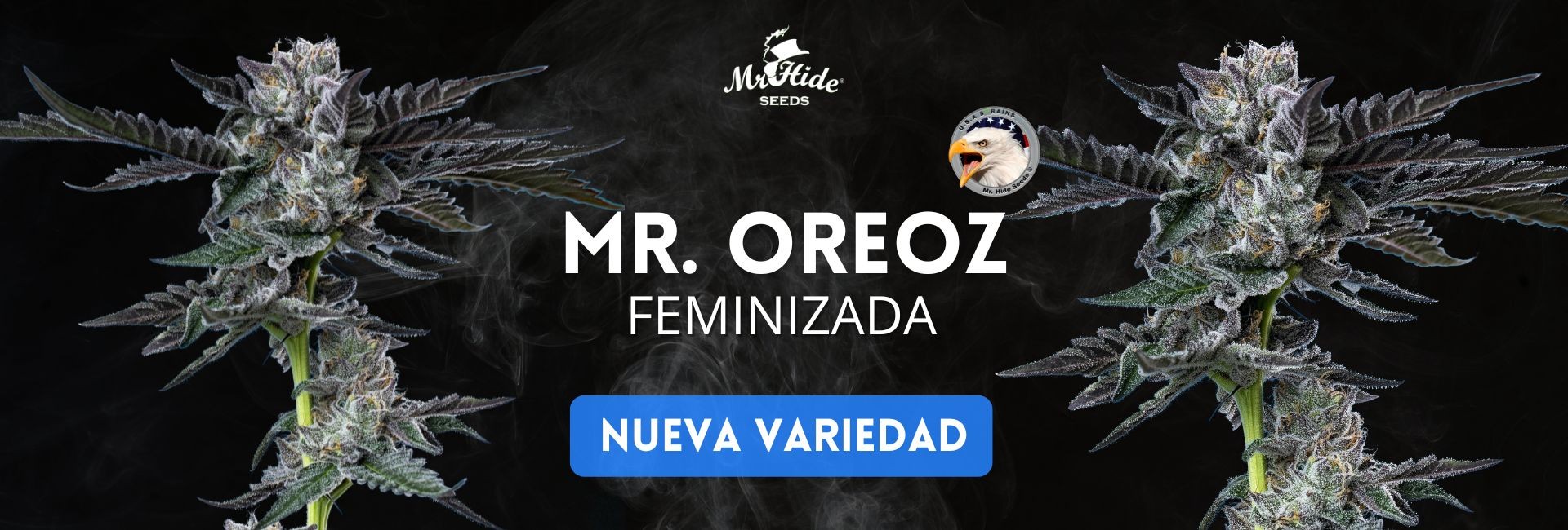 Semilla de cannabis Mr. Oreoz