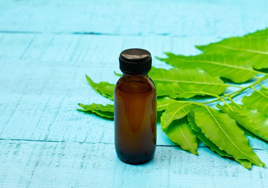 Aceite de neem: Beneficios y usos para la salud y el hogar