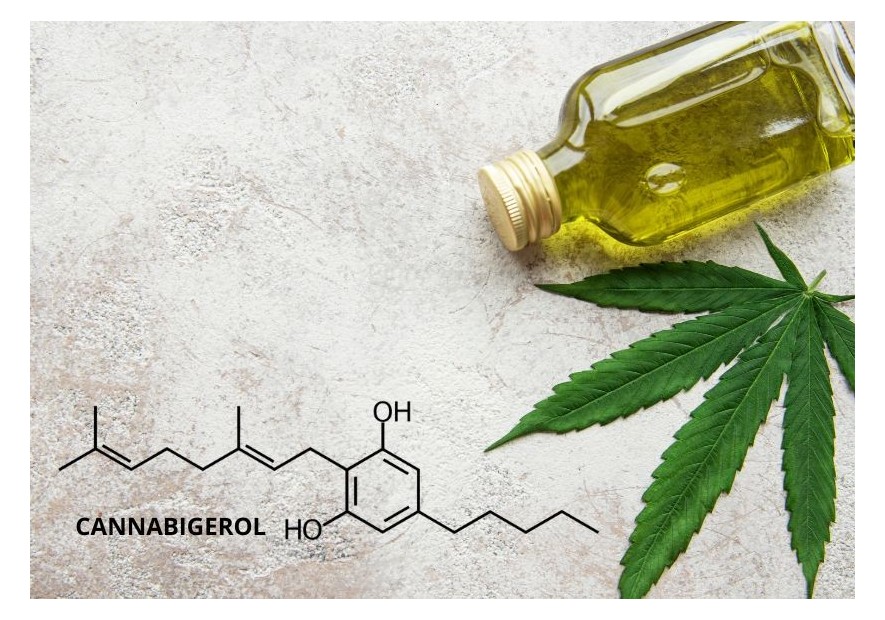 ¿Qué es el CBG cannabigerol?