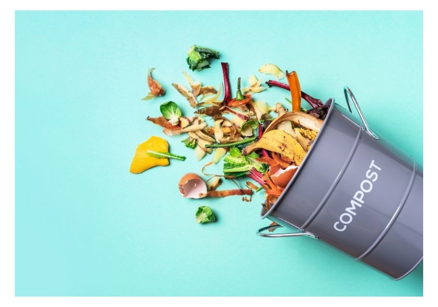 Cómo hacer compost casero para tu planta de marihuana