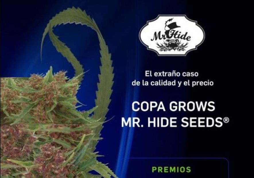 MR. HIDE SEEDS® CUP 2018!! - Mr. Hide Seeds