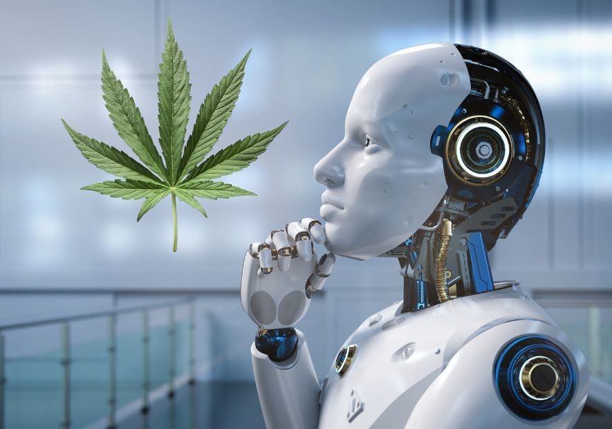 El Futuro del Cannabis: Tendencias Emergentes en el Cultivo y la Industria
