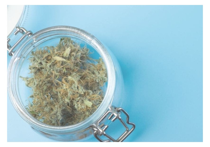 Conservación de la marihuana