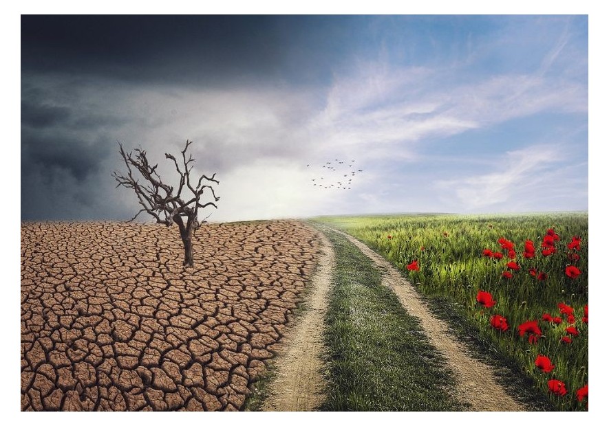 Come il cambiamento climatico influisce sulla coltivazione