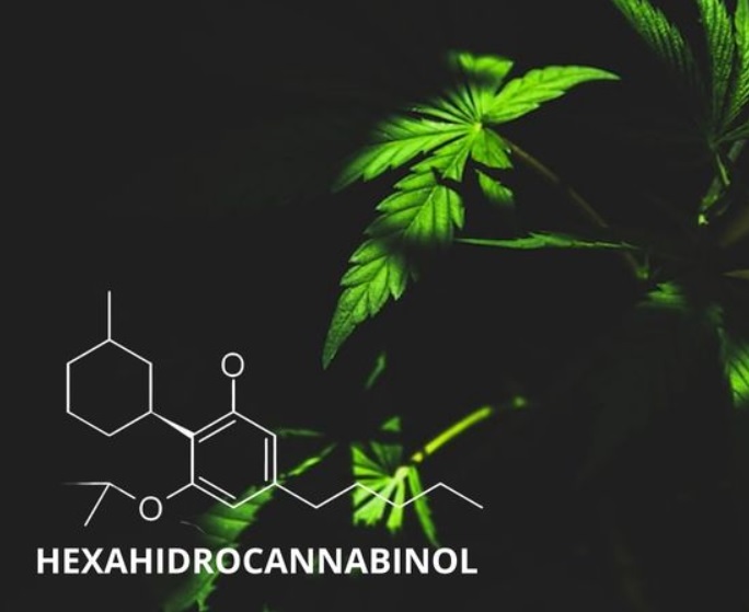 hexahidrocannabinol mr hide seeds